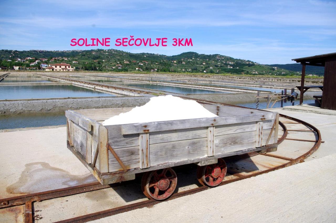 בפורטורוז Floating House Sea Queen מראה חיצוני תמונה